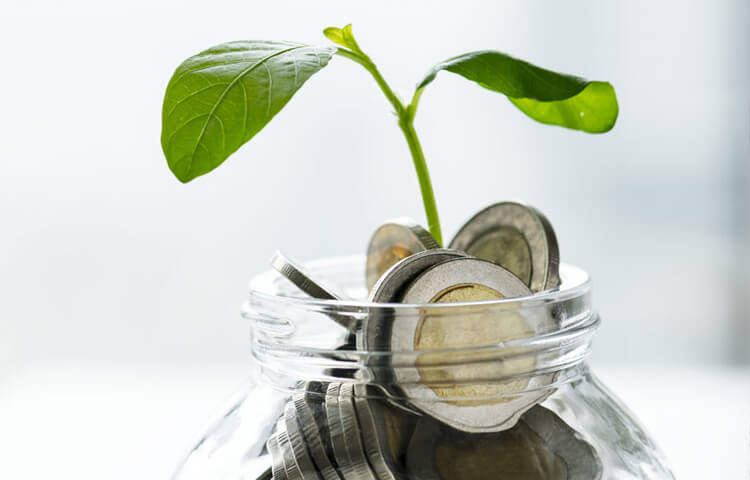 Financial and Business Advisory Services